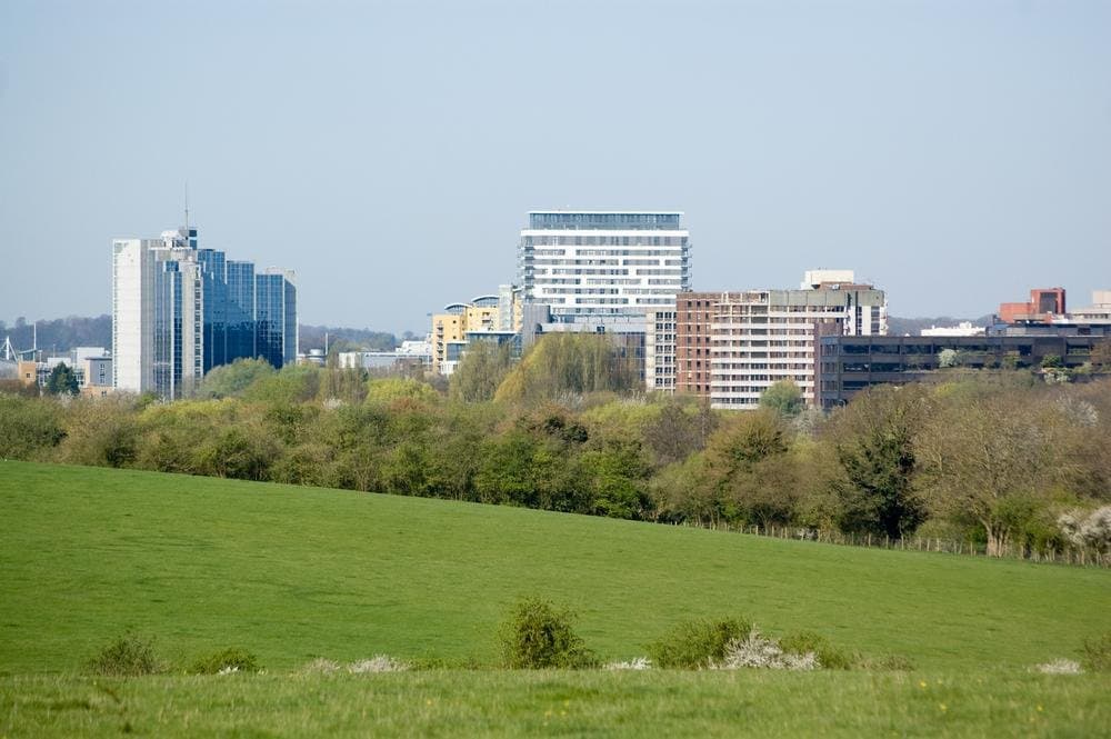Basingstoke